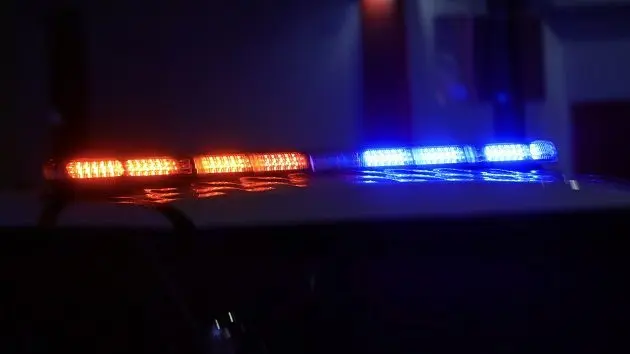 police-car-with-bright-lights-and-siren-2