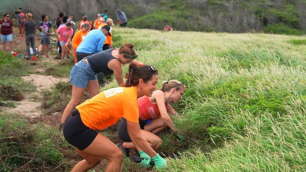 hawaii-tourism-1-abc-gmh-240807_1723040815159_hpmain_16x9973023