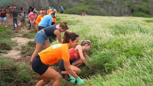 hawaii-tourism-1-abc-gmh-240807_1723040815159_hpmain_16x9973023