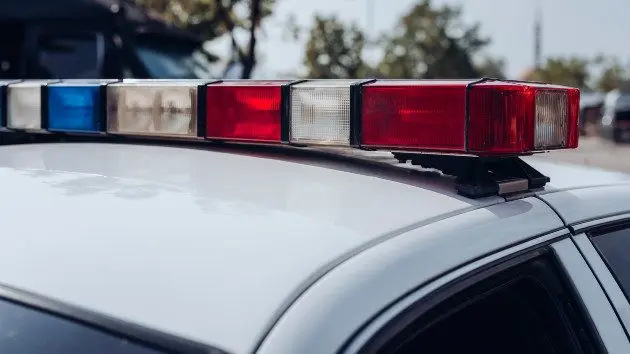 gettyrf_82422_policelightsday450856