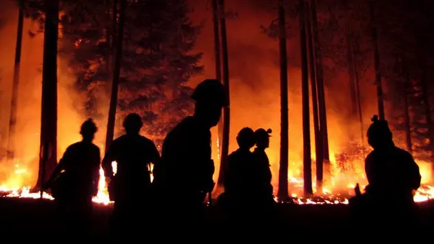 midnight-view-of-peoples-looking-forest-fire-3