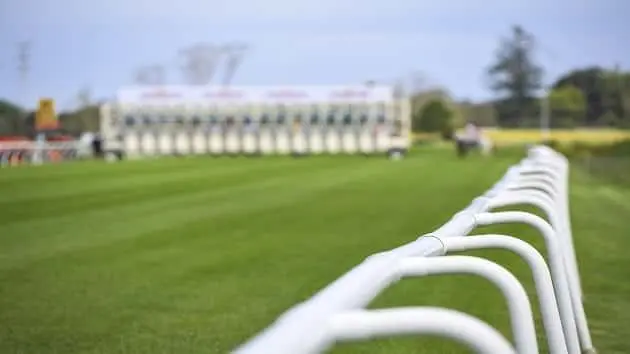 safety-barriers-with-starting-gates-in-the-background