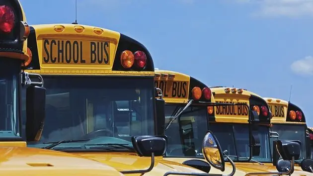 yellow-school-buses-parked-diagonally