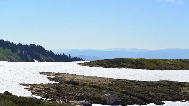mount-rainier-national-park-washington-state