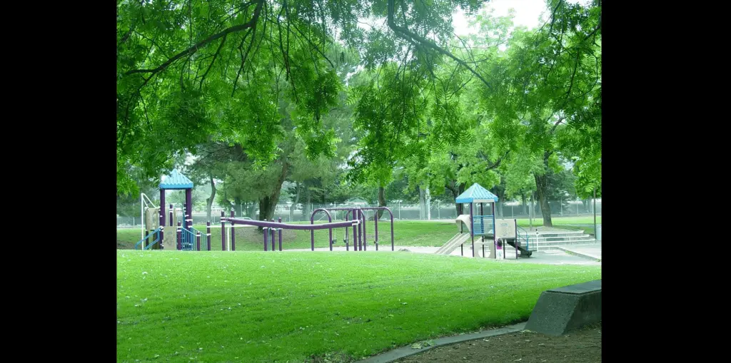 martin-luther-king-jr-park-city-of-santa-rosa