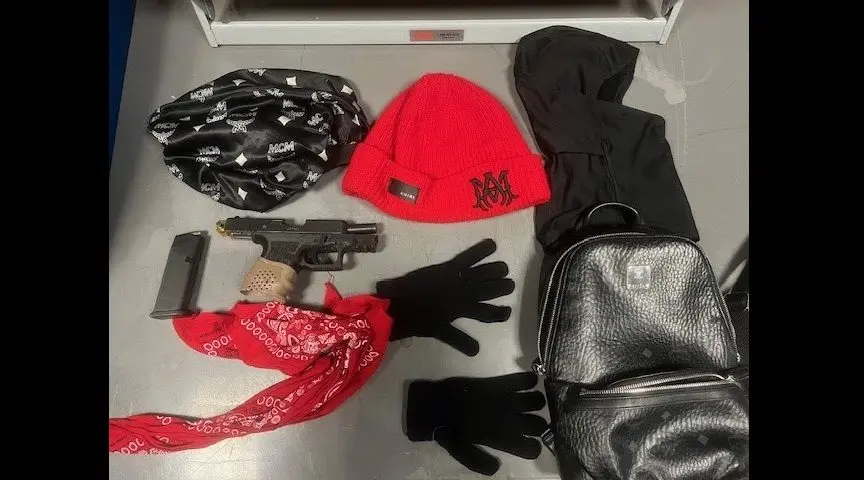 items-confiscated-from-rico-hermosillo-lozano-santa-rosa-police