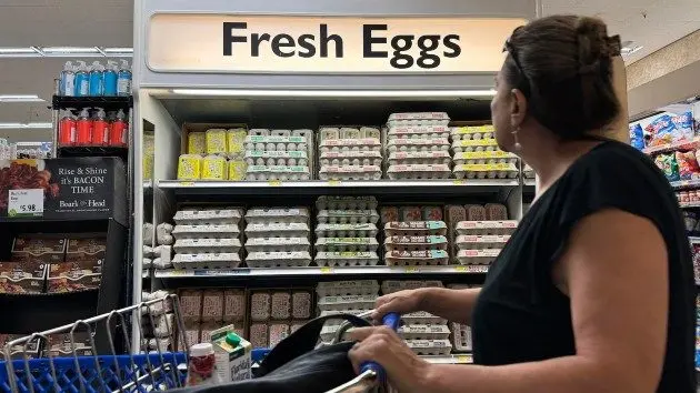 getty_groceryeggs_101424987505