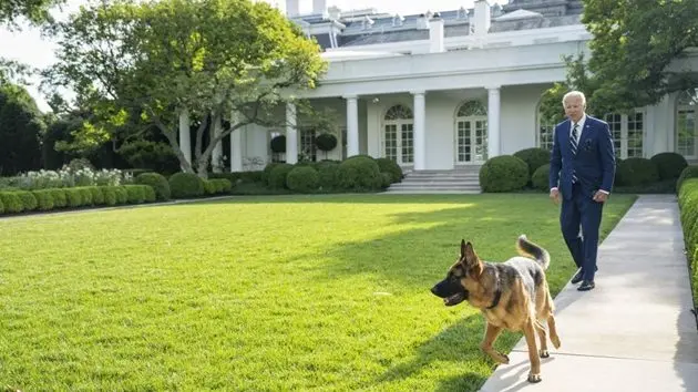 reportage-president-joe-biden-walks-with-his-dog-commander-tuesday-june-21-2022-in-the-rose-garden-of-the-white-house