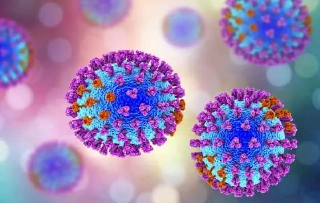 influenza-virus-e1559052994348
