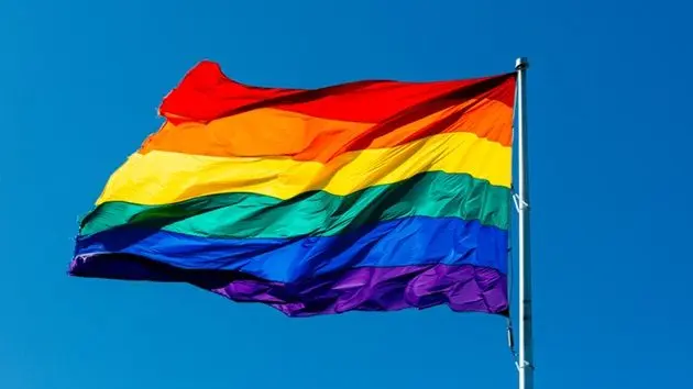 multicolored-vibrant-rainbow-flag-waving-in-the-wind-on-a-sunny-day-against-blue-sky
