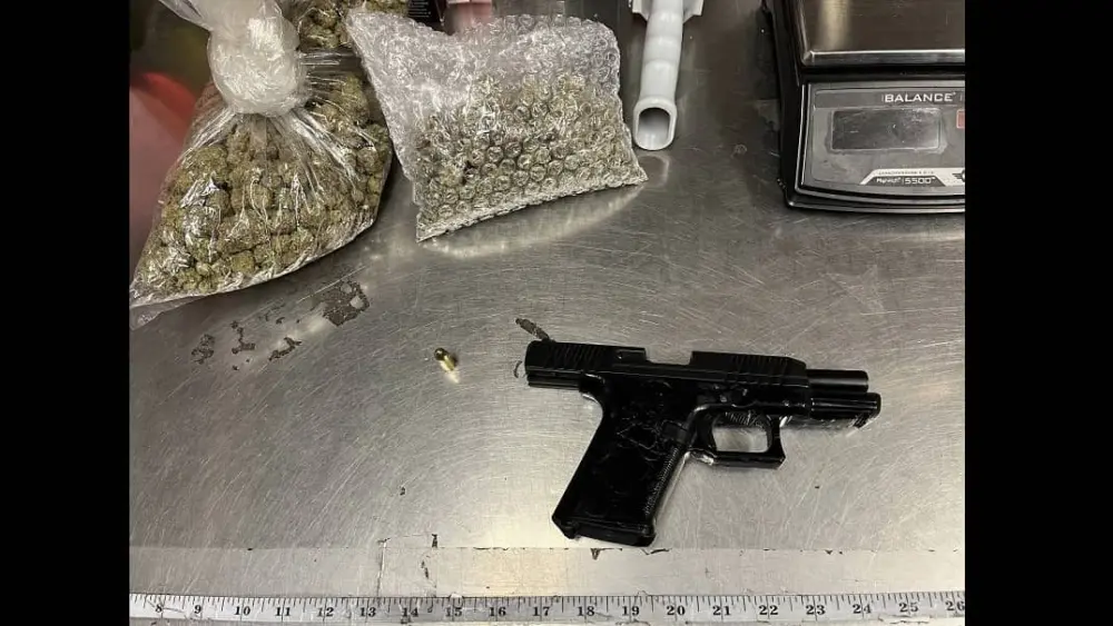 items-confiscated-from-elman-mejia-mazariegos-and-husvardo-escobar-lopez-santa-rosa-police