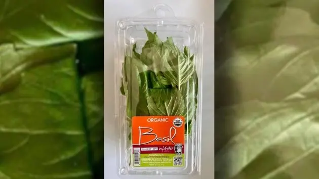 fda_41824z_tjsbasil650420