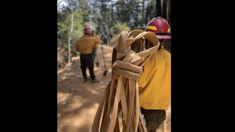 firefighters-working-on-the-point-fire-near-lake-sonoma-6-20-24-cal-fire