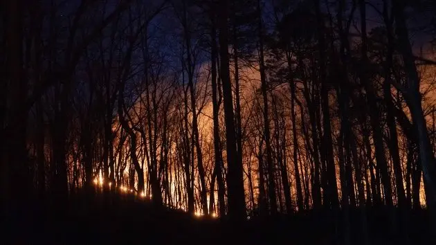 getty_northcarolinawildfires_032524208358