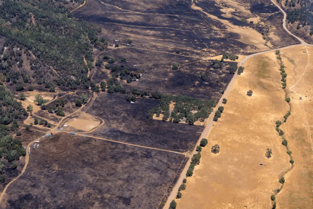 sites-fire-damage-in-colusa-county-6-22-24-cal-fire