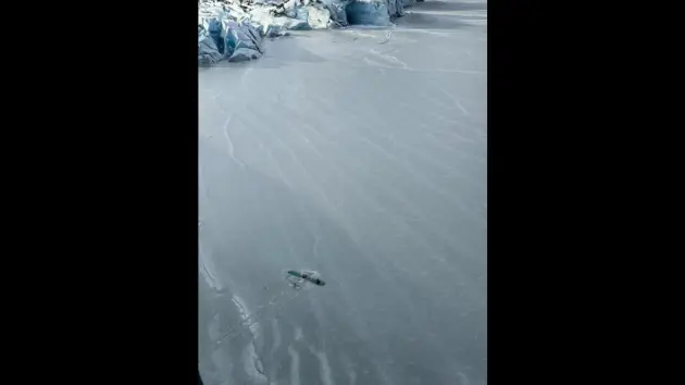 untitled20design20282529764356