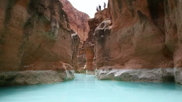gettyrf_082624_havasucreekgrandcanyon391994