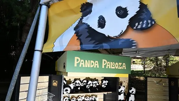 giant-pandas-washington-dc