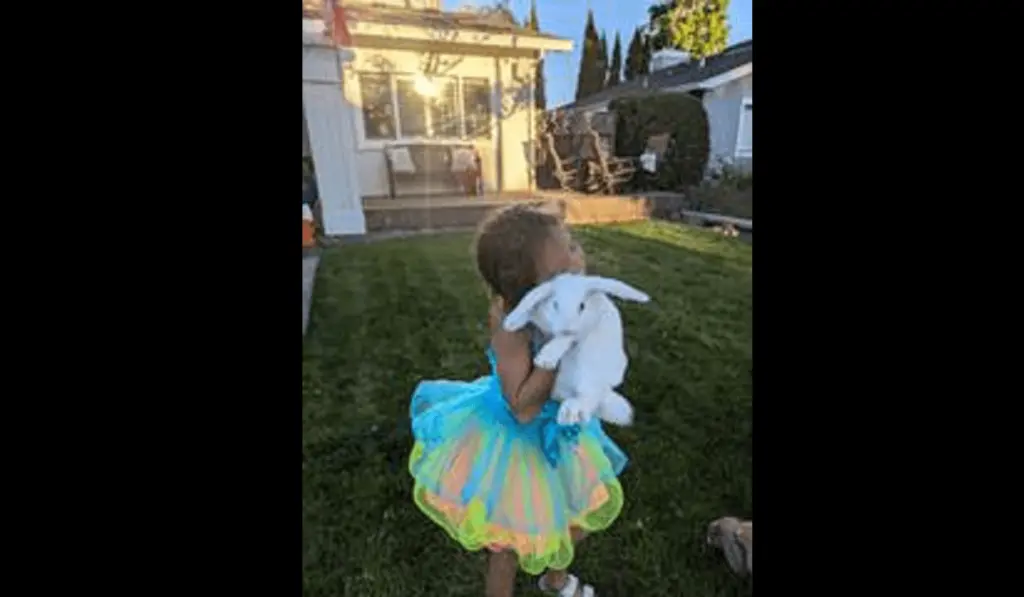 bunny-that-was-stolen-during-a-rash-of-thefts-in-petaluma-8-26-24-petaluma-police