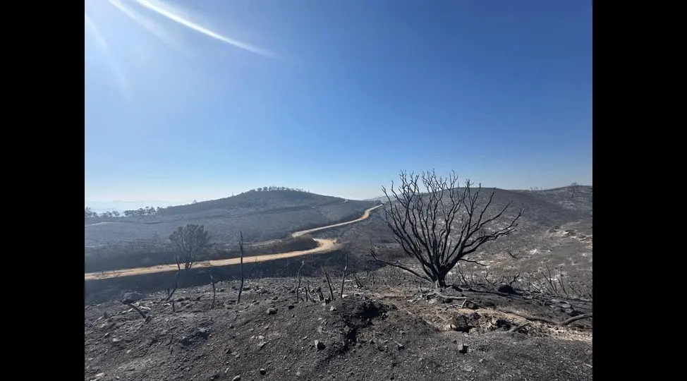 ridge-fire-damage-cal-fire