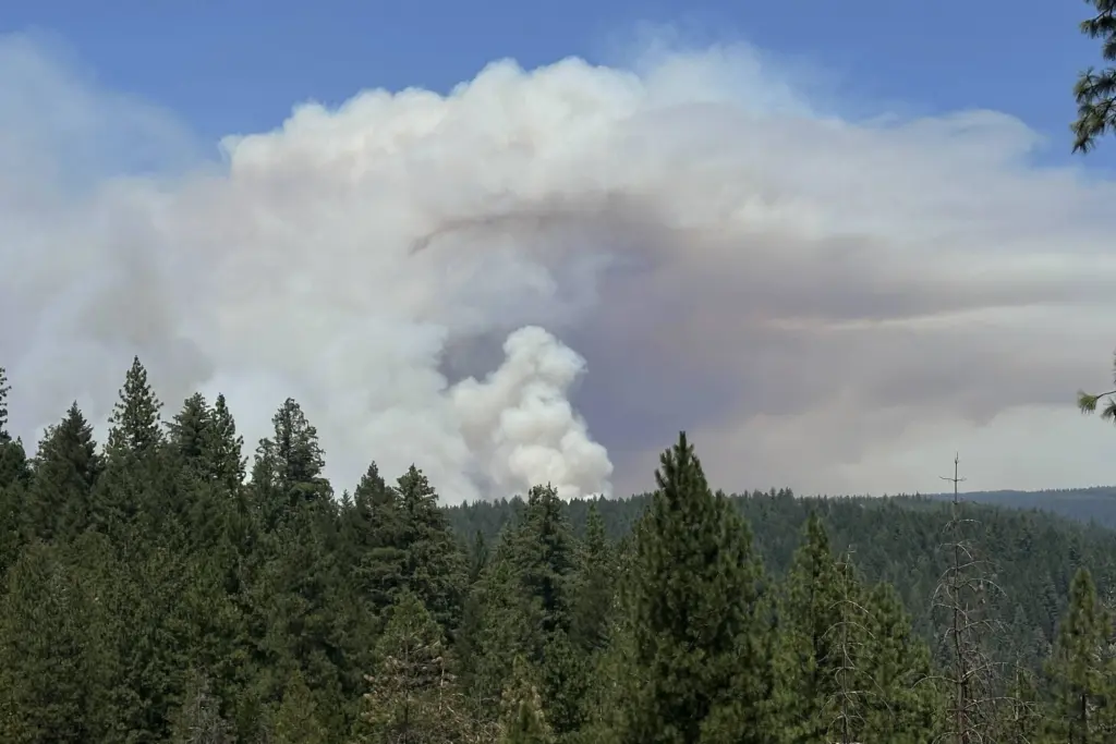 california-wildfires