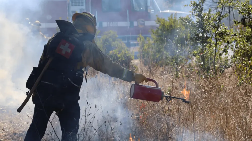 attempted-prescribed-burn-at-trione-annadel-state-park-10-28-24-cal-fire
