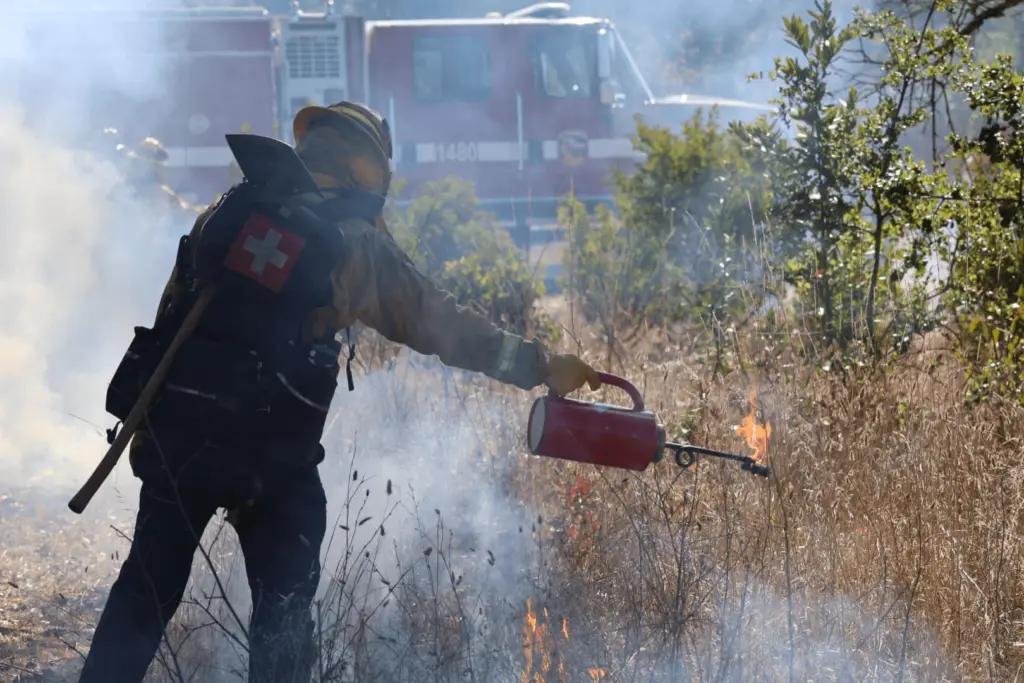 attempted-prescribed-burn-at-trione-annadel-state-park-10-28-24-cal-fire