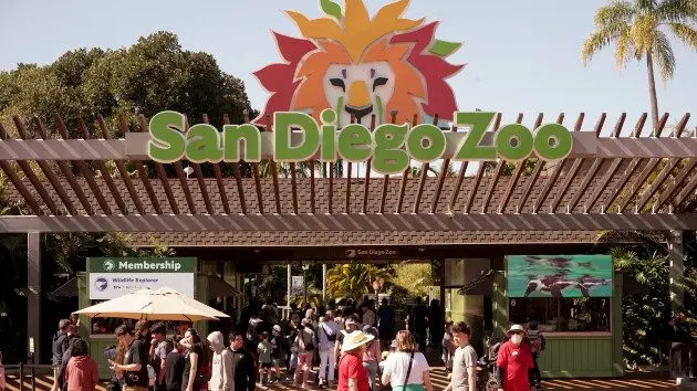 san-diego-zoo-gty-jef-240429_1714414836580_hpmain387853
