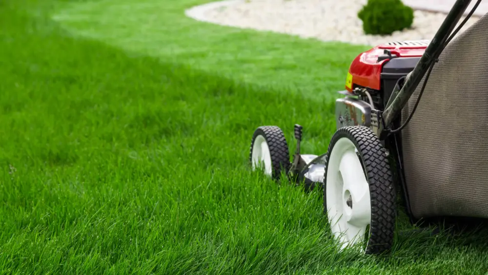 lawnmower