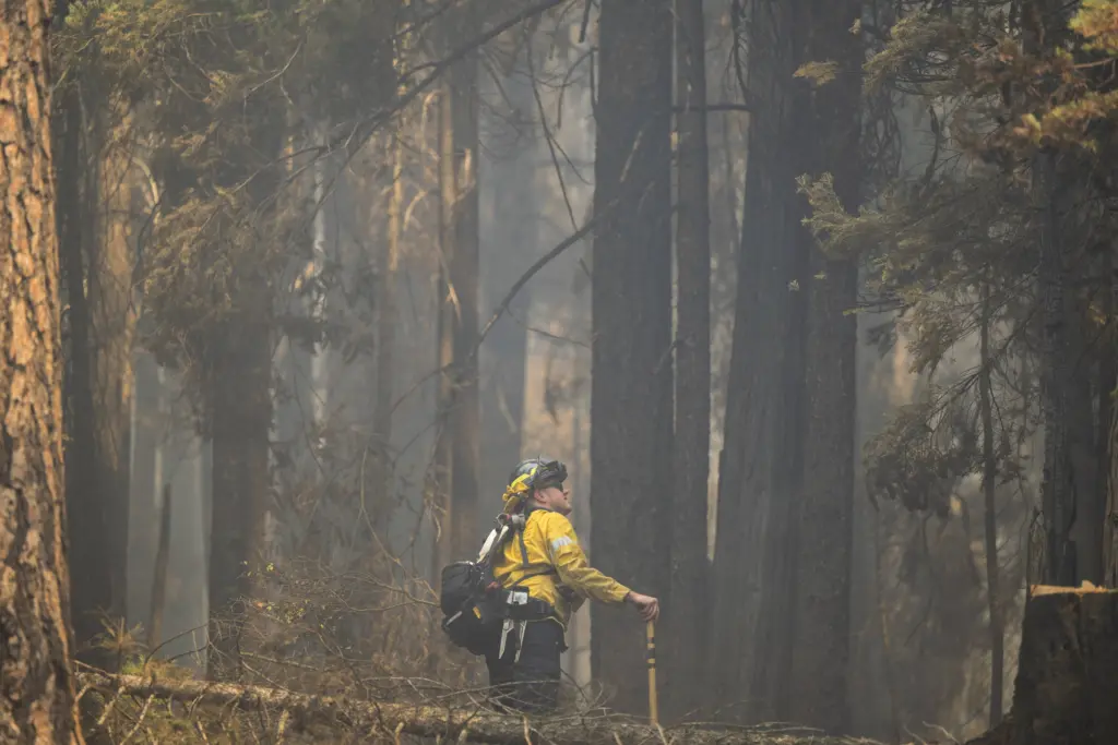 california-wildfires-2