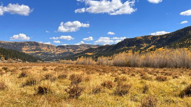 getty_rio-grande-national-forest-01-gty-jt-250918_1758211328108_hpmain_4x3244710