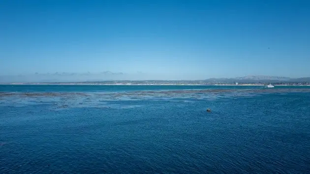 getty_monterraybay_122225110883