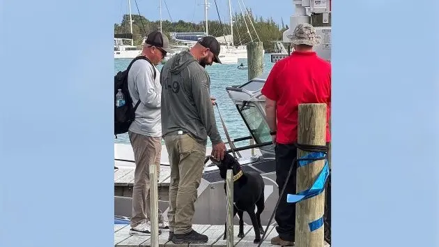 abc_dogsbahamassearch_0417262028129170608
