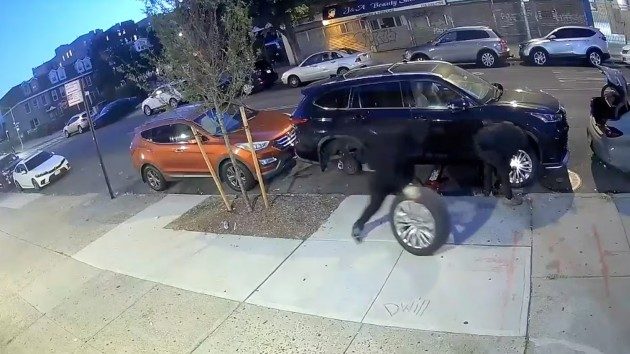 news_cartheftbronxdanypd_050126518274