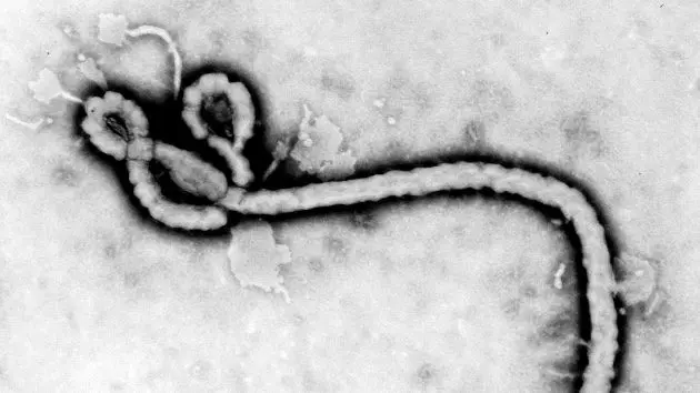 getty_ebola_052126274782