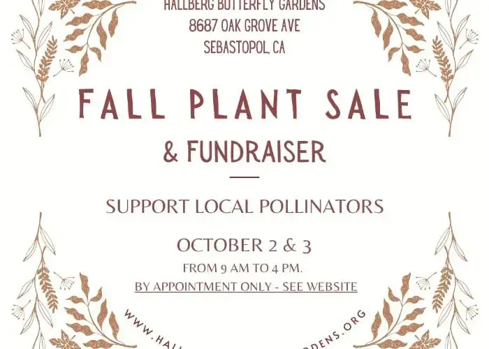 hallberg-butterfly-gardens-fall-plant-sale-fundraiser-jpg-3