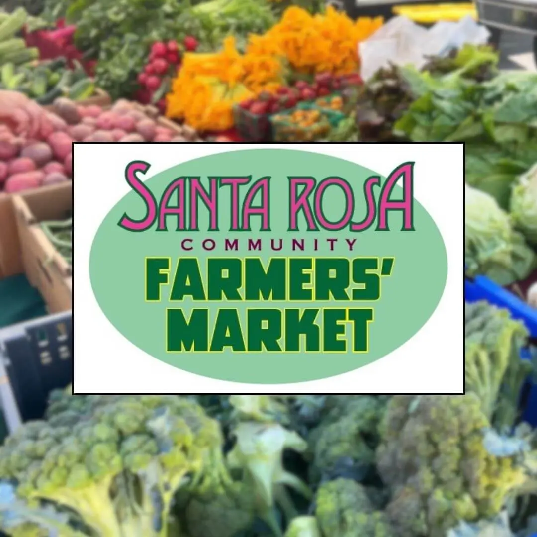 65b2d0452ee9d635aa346f8a_64694801-0-ilfm-santa-rosa-1