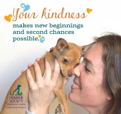 digital-kzst-425x400_2021-01_your-kindness