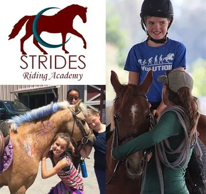 strides1