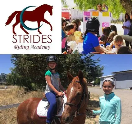 strides2