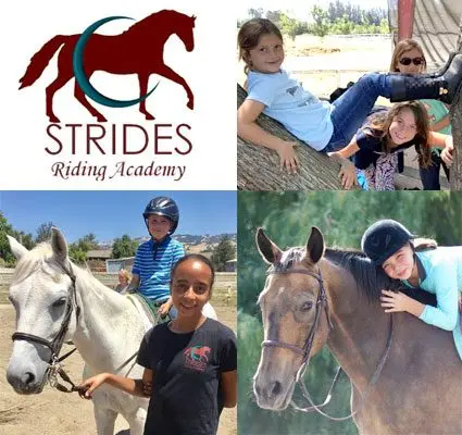 strides3