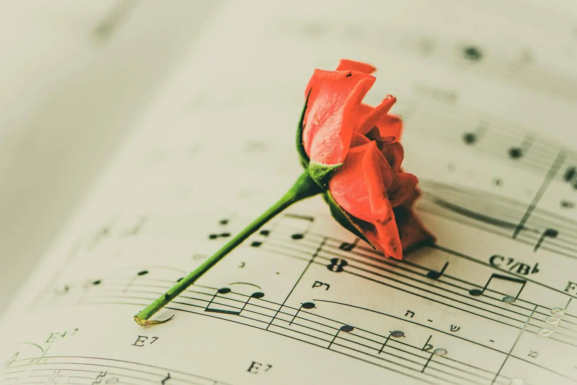 choir-jpg-2