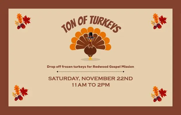 tonoturkeyflipper-copy