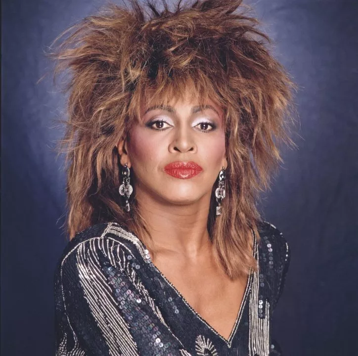 tina-turner-private-dancer-02691145