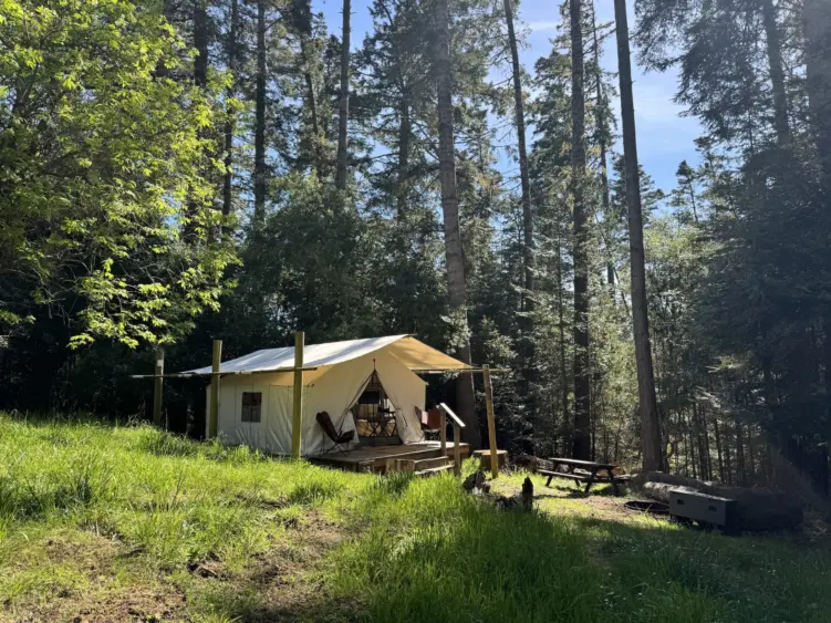 bcn-20240420-mendocinogrove-01-scaled557809