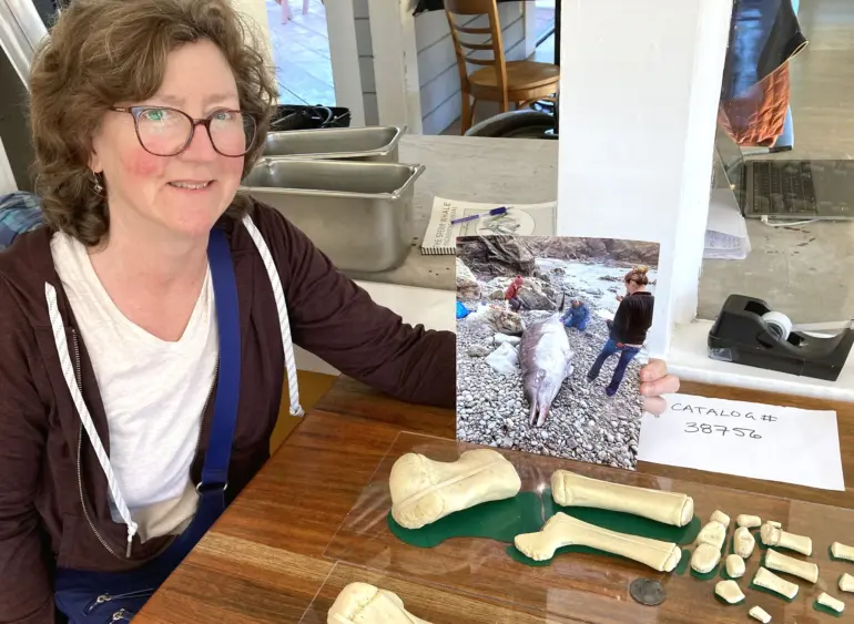 bcn-20250915-beakedwhale-01-scaled683999