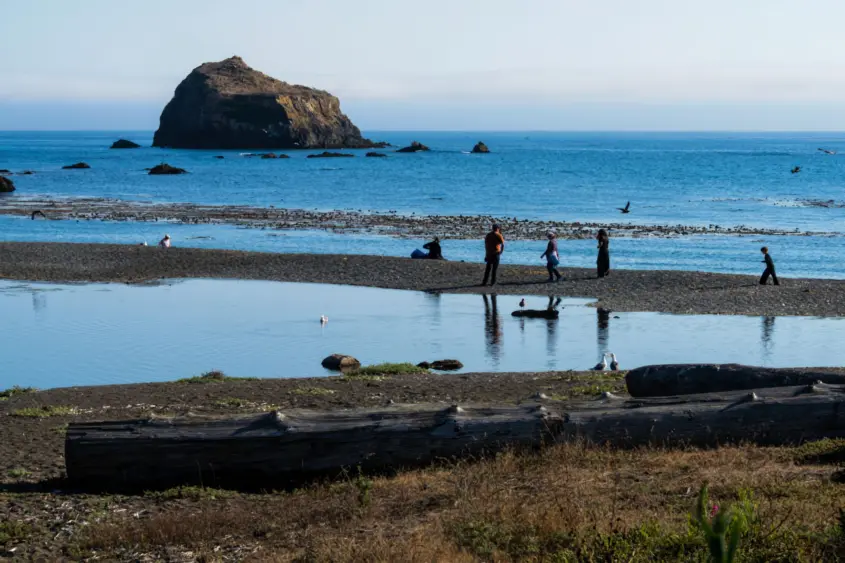 bcn-20220717-vandamme-03-scaled287854