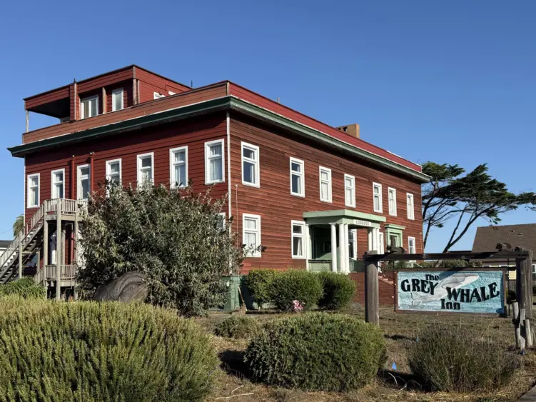 bcn-20251001-greywhale-01-scaled205124