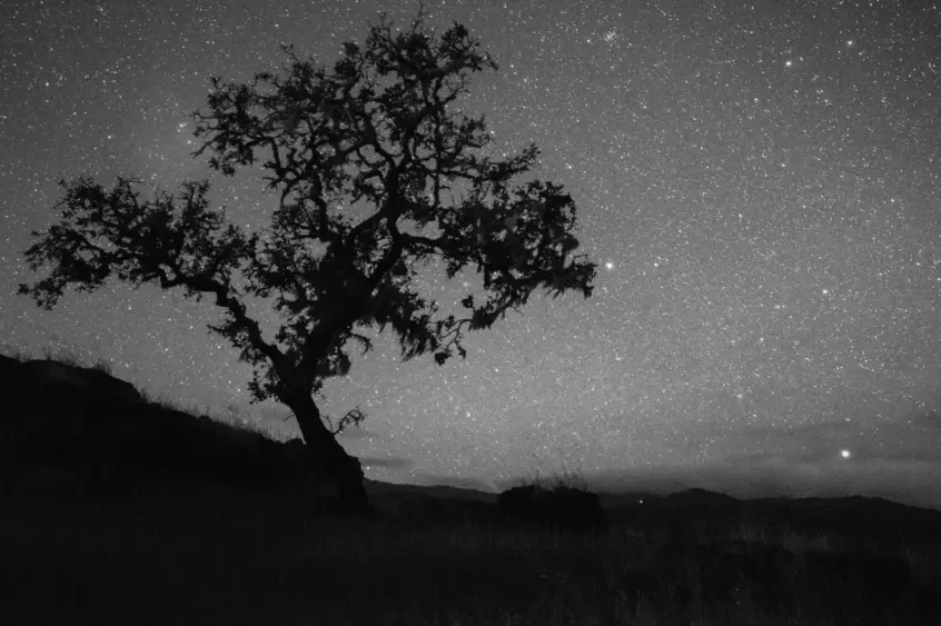 tmv-20251006-blueoak-01-scaled623429