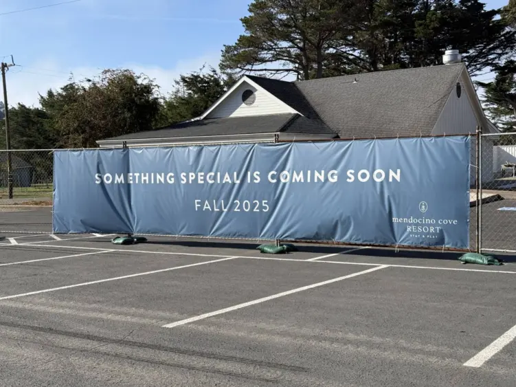 bcn-20251027-mendocinogrove-03-scaled354409